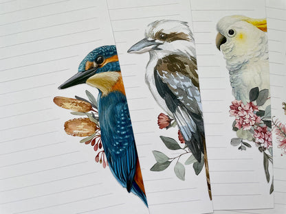 Three illustrated birds on a lined paper background - The Book Keeper & Co