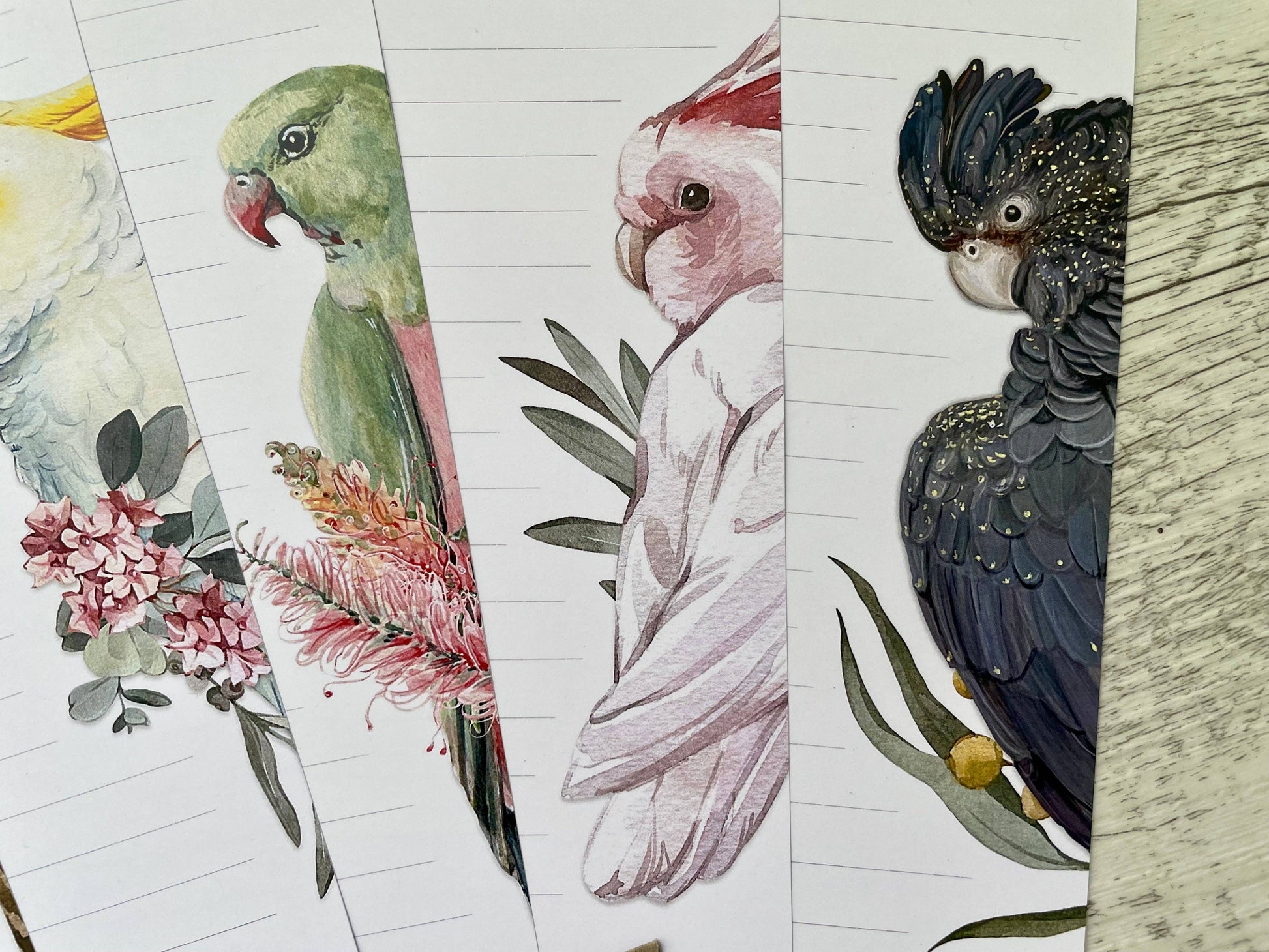 Illustrations of parrots and floral elements on a grid background - The Book Keeper & Co
