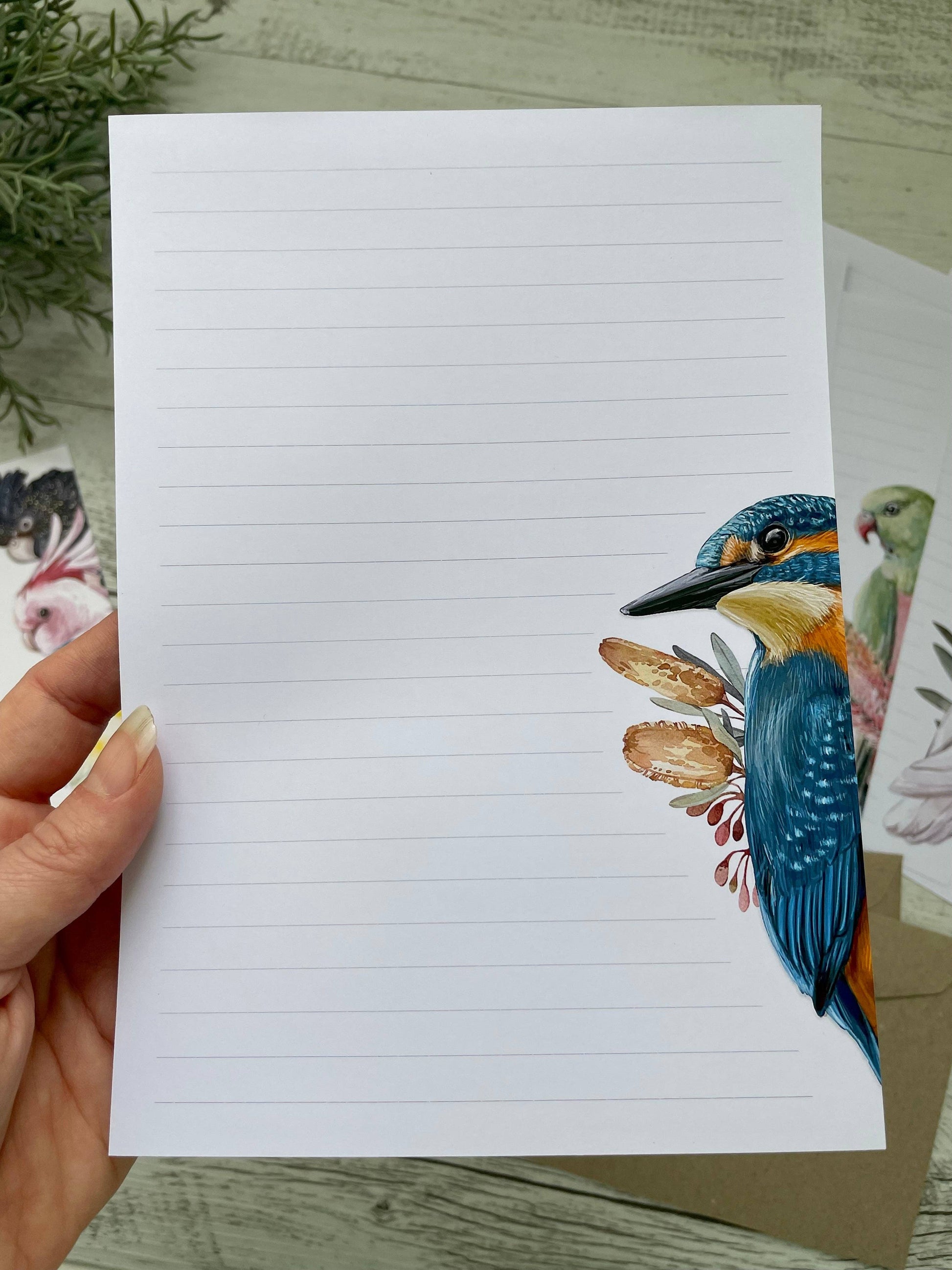Australian Birds Letter Writing Lined Paper Set - The Book Keeper & Co